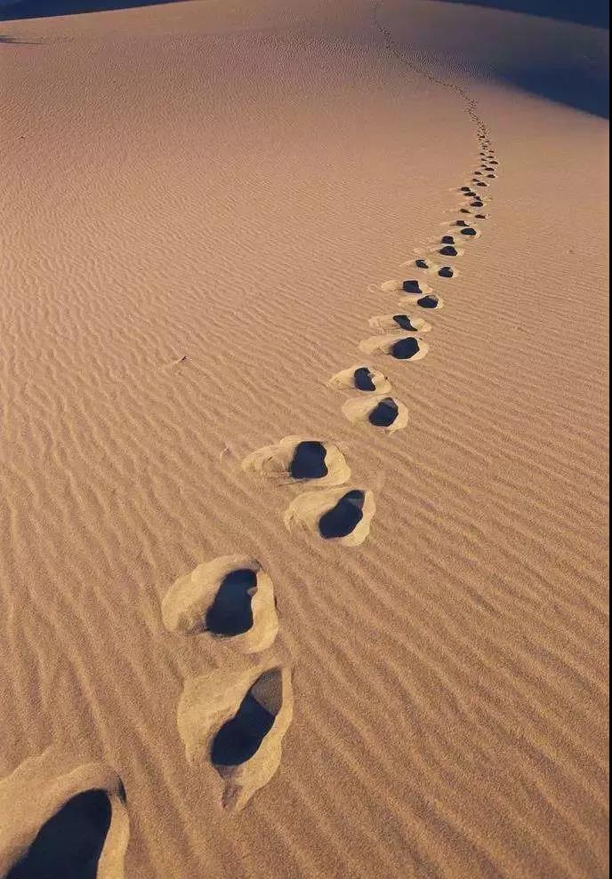 bg大游(中国)有限公司- 官网