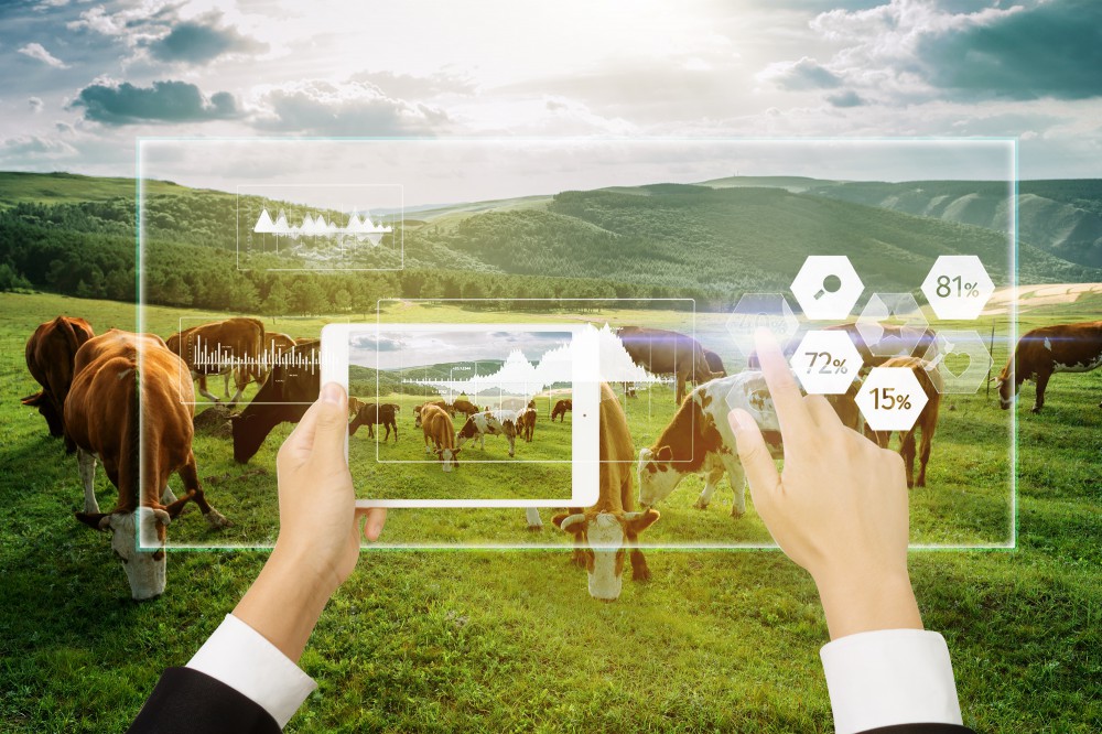 bg大游(中国)有限公司- 官网