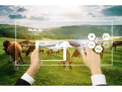 bg大游(中国)有限公司- 官网