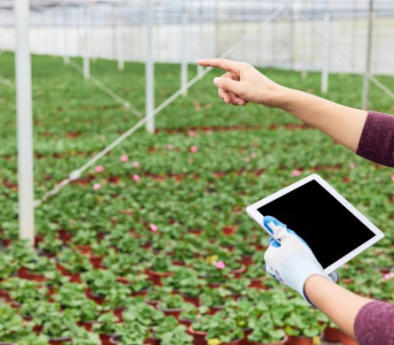 bg大游(中国)有限公司- 官网